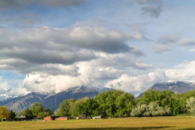 Ağaçlar ve kar ile doğal doğa geniş bir alan üzerinde yükselen dağ zirveyaptı