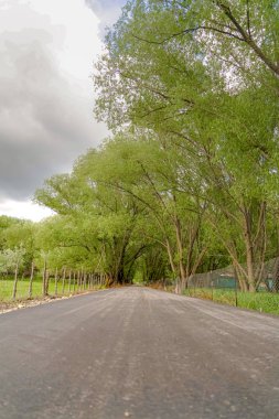 Yol bulutlu gökyüzü altında uzun ağaçlar ve zincir bağlantı tel örgü çit ile kaplı