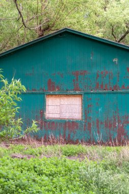 Beyaz pencere ve duvarda yeşil boya soyma ile ormanda döken dış