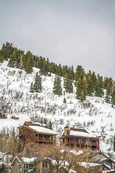 Paisaje invernal con casas y coníferas en una montaña bajo un cielo gris nublado — Foto de Stock
