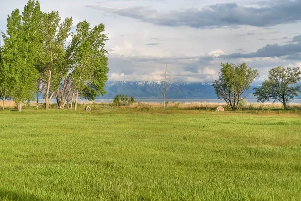 Campo gramado e árvores exuberantes com lago de montanha e céu nublado no fundo — Fotografia de Stock