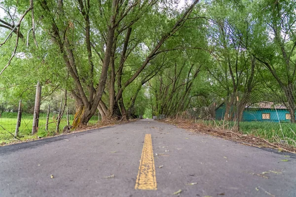 Árboles altos y cobertizo verde a lo largo de un camino pavimentado estrecho con cerca de alambre de enlace chian — Foto de Stock