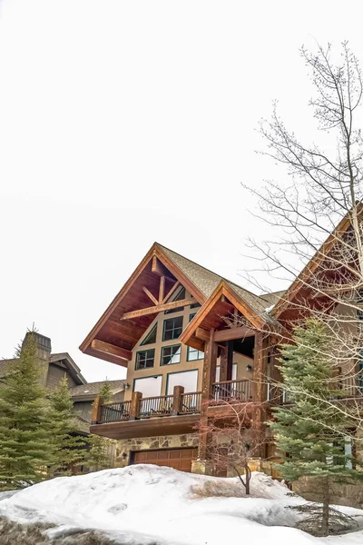 Güzel ev dış kışın kar y zemin ve kozalaklı çevrili