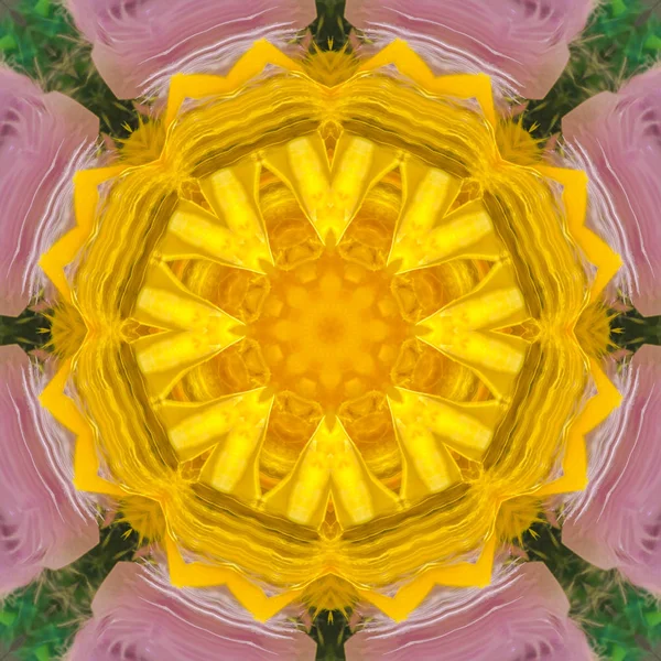 Żółte centrum cyfrowego purpurowego kwiatu — Zdjęcie stockowe