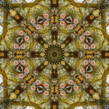 California'da düğünde dairesel düzenleme subltel renkli çiçekler