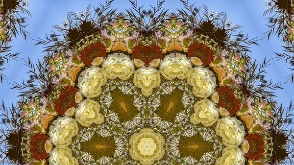 Panorama duże kwiaty sześciokątne w układzie okrągłym na ślub w Kalifornii na niebieskim tle — Zdjęcie stockowe
