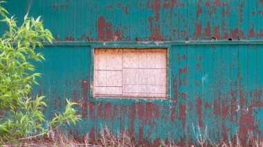 Panorama çerçeve Beyaz pencere ve duvarda yeşil boya soyma ile ormanda döken dış