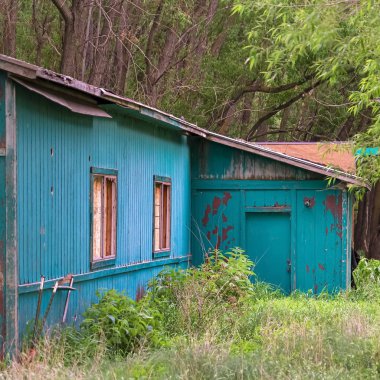 Çimenler ve yüksek ağaçlarla çevrili ormanda eski bir kulübenin Kare Dış görünümü