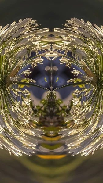 Vertical Warped flowers in a reflective seymmectrical design with white petals — Stock Photo, Image