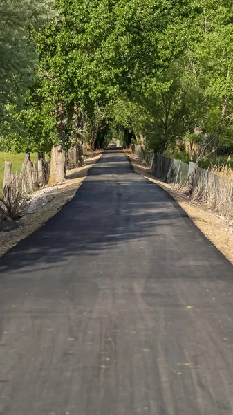 Route verticale au milieu d'un terrain herbeux et bordée d'une clôture à mailles de chaîne sous un ciel nuageux — Photo