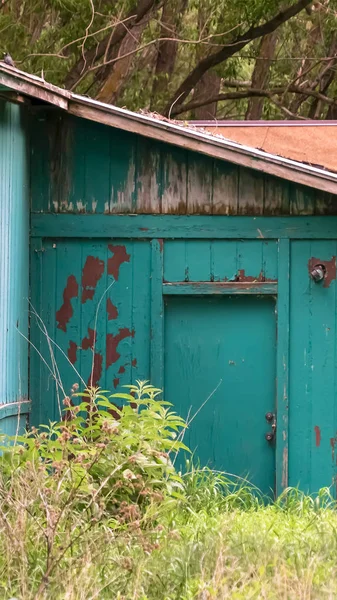 Vertical Exterior of shed in the forest with damaged roof and peeling green paint on wall
