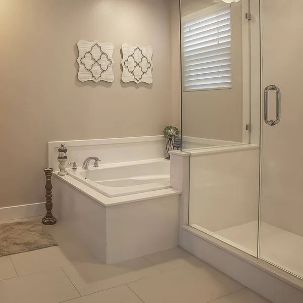 Square frame Bathroom interior with a shower stall beside the built in bathtub — Stock Photo, Image