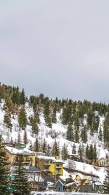 Kar kaplı yamacında renkli evleri ve iğne yapraklı ağaçları ile Dikey Dağ