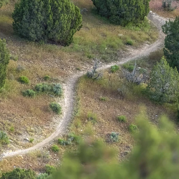 Square frame Narrow hiking trail curving through the grassy terrain of a mountain
