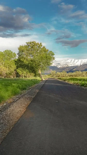 Vertikale Rahmenstraße inmitten eines sonnenbeschienenen Feldes mit Blick auf schneebedeckte Berge und bewölkten blauen Himmel — Stockfoto