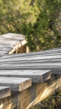 Dikey Yemyeşil ağaçlarla çevrili ormanda bir köprünün kapatılması