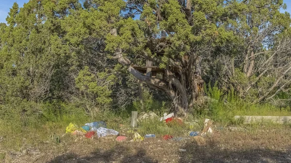 Panorama Rocks güneşli bir günde canlı mavi gökyüzüne karşı uzun boylu gür tress altında — Stok fotoğraf