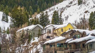 Panorama Gür kozalaklı ağaçlar ve evler kışın gri gökyüzüne karşı karlı bir dağda