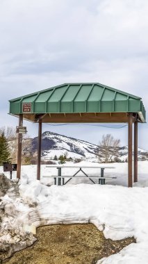 Kar kaplı parkta barbekü ızgara ve piknik masası ile Dikey çerçeve Yeşil kabin