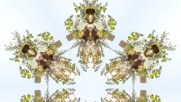 Panorama Diseño de fowers en forma floral con muchos usos —  Fotos de Stock