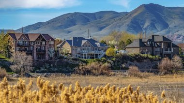Sahilde büyüyen kahverengi otlar ile bir gölün yakınında inşa edilmiş Panorama çerçeve Residences