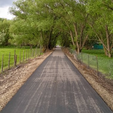 Square Road bulutlu gökyüzü altında zincir bağlantı tel örgü çit ve uzun ağaçlar ile kaplı