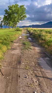 Dikey çerçeve Uzaklıkta göl vadisi ve dağ ile çimenli bir alanda Kir yol