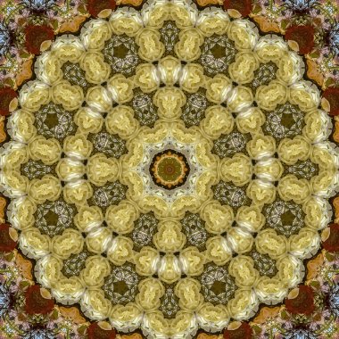 Kaliforniya'da düğünde dairesel düzenleme çiçek yansımaları Kare Soyut alan