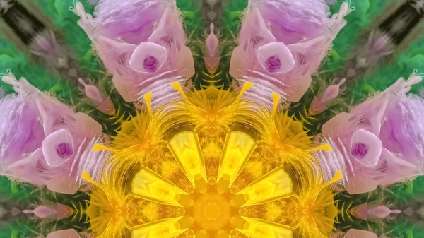 Panorama cyfrowo zrobione kształty z niektórych kolorowych piór — Zdjęcie stockowe