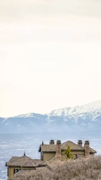 Cadre vertical Maisons et arbres bruns sans feuilles sur une colline recouverte de neige en hiver — Photo