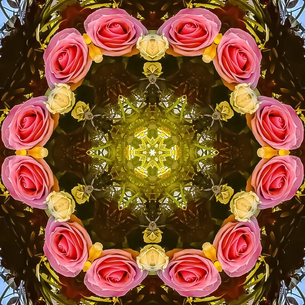 Kwadratowe róże okrągłe różowe i żółte na błękitnym niebie — Zdjęcie stockowe