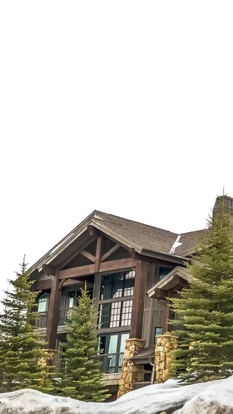 Вертикальный экстерьер красивого деревянного дома среди свежего снега в пасмурный зимний день — стоковое фото