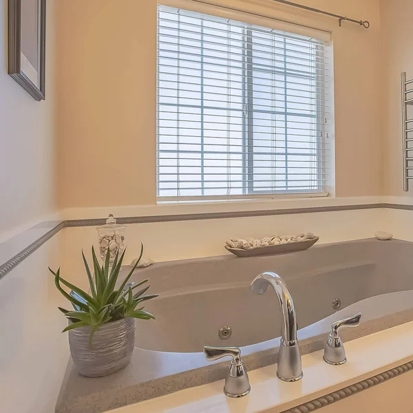 Square Bathtub and shower stall in front of windows with valance and