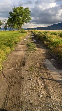 Bulutlu gökyüzüne karşı ağaçlar göl ve dağ manzarası ile çimenli bir alanda Dikey Kir yol
