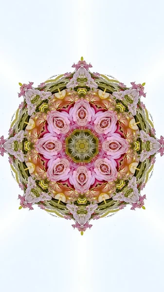 Moldura vertical Design floral abstrato com rosas rosa amarelas e vermelhas em um campo de branco — Fotografia de Stock