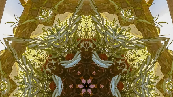파노라마 꽃꽂이와 추파의 나무 바는 일몰에 추상적 인 모양으로 만든 — 스톡 사진