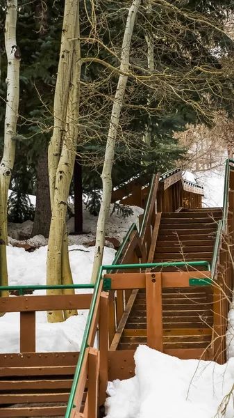 Vertical Outdoor stairs on a mountain slope covered with snow during winter