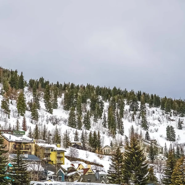 Square frame Mountain with colorful homes and coniferous trees on its snow covered slope — Stock Photo, Image