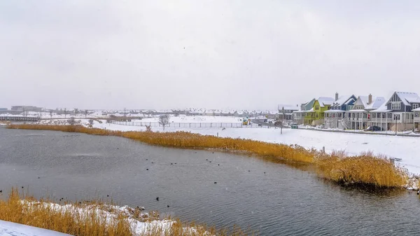 Panorama bostadsområde med utsikt över en sjö med gräs bebyggda och snöiga stranden på vintern — Stockfoto