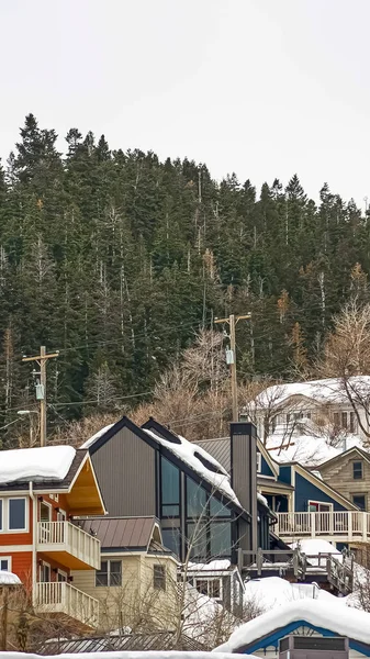 Marco vertical Casas de montaña con techos cubiertos de nieve aginst árboles de coníferas y cielo nublado —  Fotos de Stock
