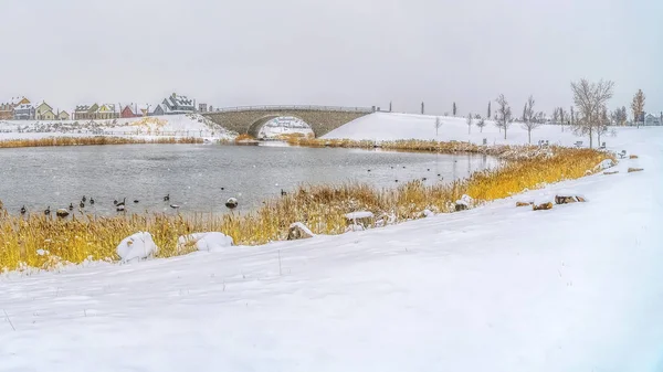 Panorama Lago y puente arqueado rodeado de terreno cubierto de nieve en invierno — Foto de Stock