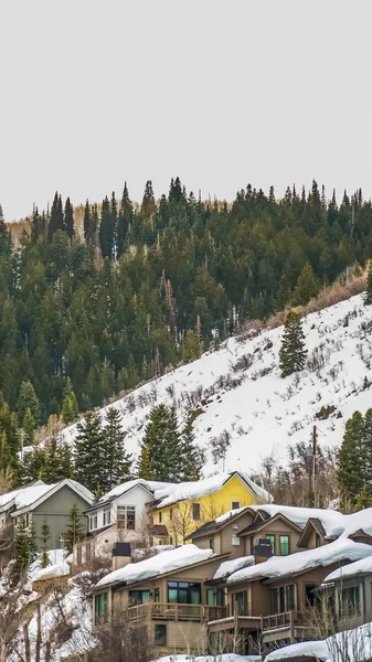 Cadre vertical Arbres de conifères luxuriants et maisons sur une montagne enneigée contre le ciel gris en hiver — Photo