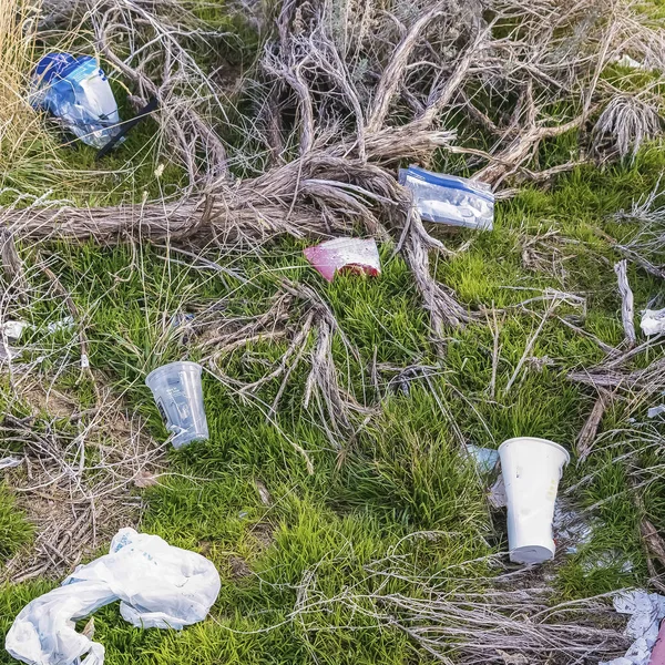 Square frame Close up of grassy ground littered with discarded plastics and disposable cups