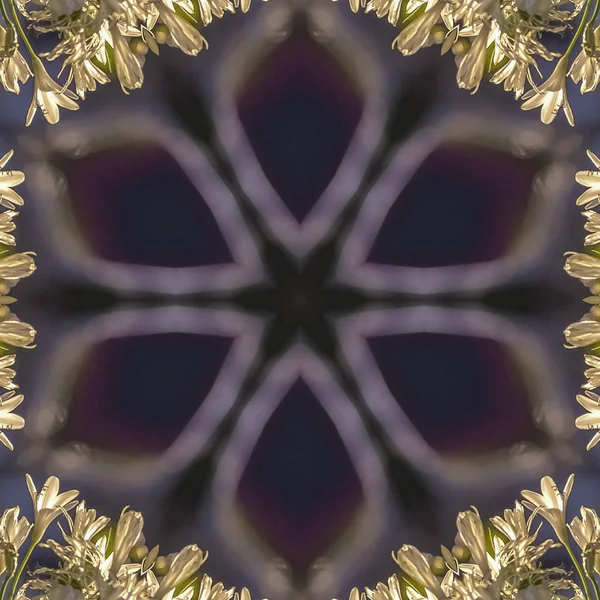 Квадрат Интересная светящаяся звезда форма iwth белые цветы relfected вокруг него в абстрактном дизайне пространства копирования — стоковое фото