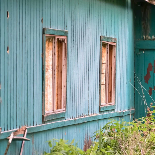 Квадратна рамка Зовнішній вигляд сараю в лісі з пошкодженим дахом і очищенням зеленої фарби на стіні — стокове фото