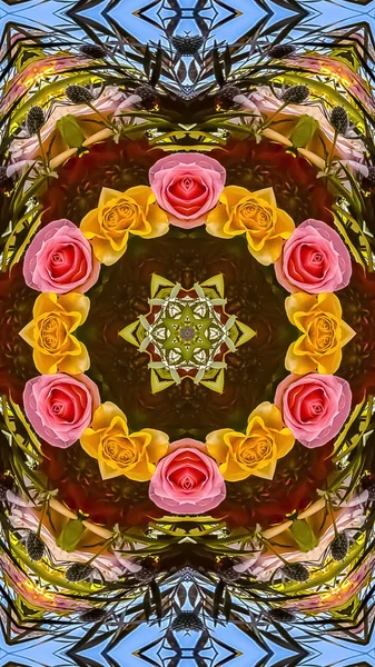 꽃 디자인 디스플레이에 장미의 수직 작은 원 — 스톡 사진
