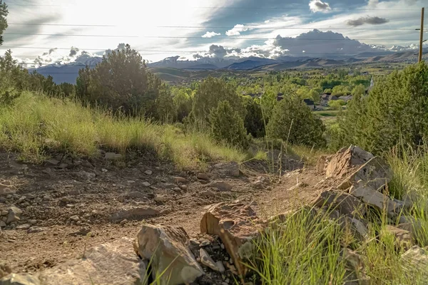 Trilha de terra em meio a gramíneas e plantas em uma colina com vista para casas no vale — Fotografia de Stock