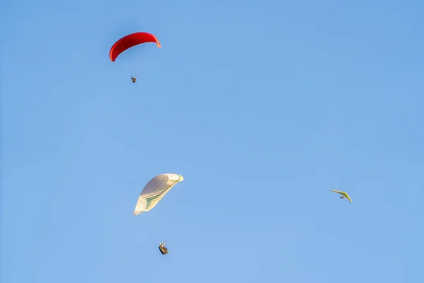 Skydiving kaland ejtőernyők ellen tiszta kék ég egy napsütéses napon — Stock Fotó