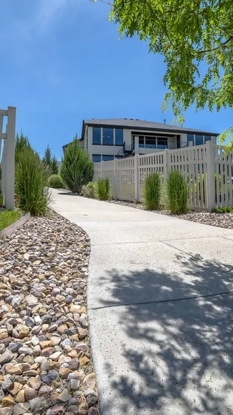 Vertical frame Tree in the middle of a concrete and stone pathway against homes and blue sky