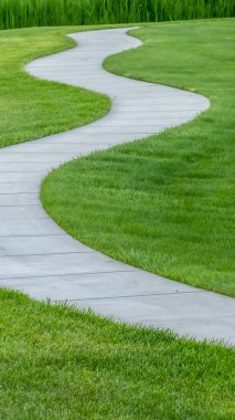 Dikey çerçeve Kısa canlı otlarla kaplı bir arazi olsa da sarma bir yol kapatın